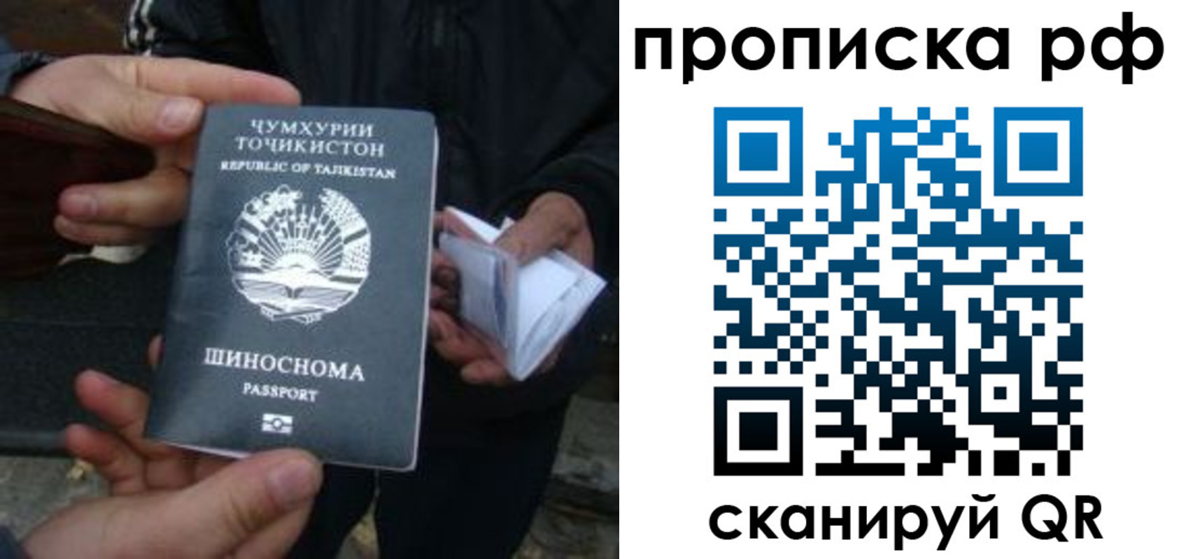 форма 3 в Сегеже